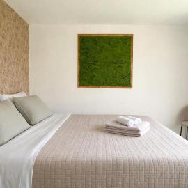 modern one-bedroom apartment 4&5