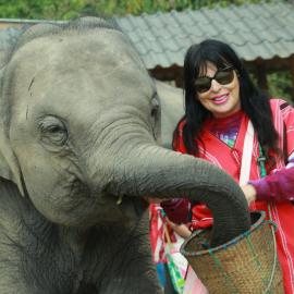 Elephant Jungle Eco Stay Chiang Mai