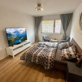 Comfort Room near Prague, hotel in Kladno