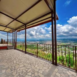 Villa Ivanovic