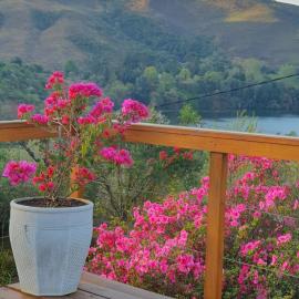 Chickpea Villa, Hotel in Bergview