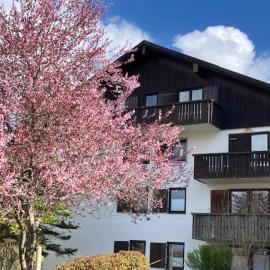 FeWo Alpenveilchen im Oberallgäu mit Pool, Sauna und tollem Ausblick vom großen Balkon