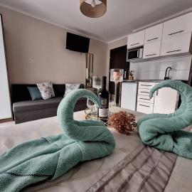 Willa Jarmar - sala kominkowa z bilardem, wewnętrzny oraz zewnętrzny plac zabaw – hotel w Brennie