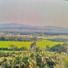 Wonderville Ensuite Rooms, מלון בCuncolim
