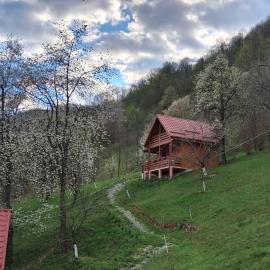 Cabana Ulmului, hotel a Vişeu de Sus
