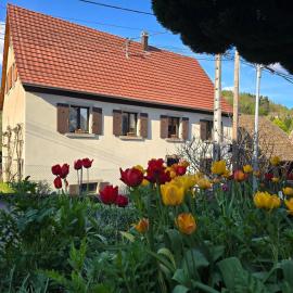 Echappée Verte
