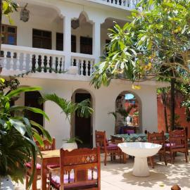 Dolphins and Turtles apartment, hotel en Dimbani