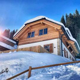 Ahorn Mountainlodge