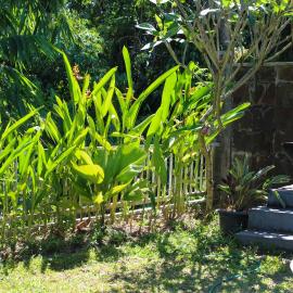 Charming 2BR Home Close to Pering Beach Gianyar, hotel di Saba