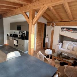 Portes du Soleil T3 "comme un chalet" direct access Morzine Avoriaz, hotel in Montriond