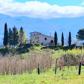 Felciolina - Medieval Country House，Troghi的飯店