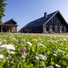 Luxe lodge vakantiehuis de Puntlanden, hotel in Punthorst