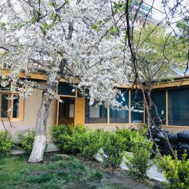 Hunza Backpackers Inn, hotel a Valle dell'Hunza