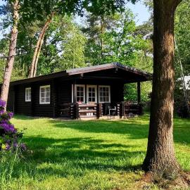 Outdoors Holten - Family Lodge bad, Hotel in Holten
