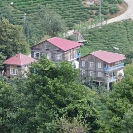 ŞİİRLİ Konak, hotel di Borçka