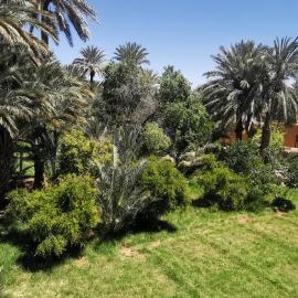 Écolodge OASIS Vallée du ZIZ Gîte DAR UL, hotel a Maarka