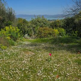 Il Giardorto