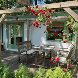 Peaceful Forestpark, Bikes included, Pool, Dog welcome, hotel a Doornspijk