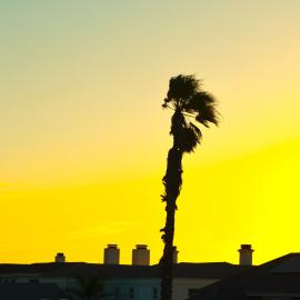 Shelley Point Townhouse, Hotel in Stompneusbaai