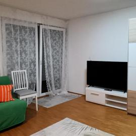 Cozy Room in Flat in München