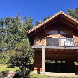 Cabaña Araucaria: Pucará'da bir otel