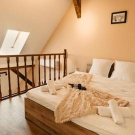 OLD TOWN Palatul Agoston Galgon، فندق في تيميشوارا