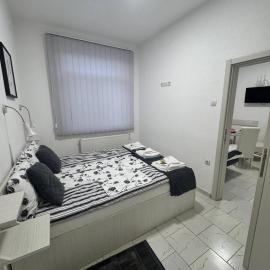Vila Cirkovic - 200m od mermernog setalista, Hotel in Sokobanja