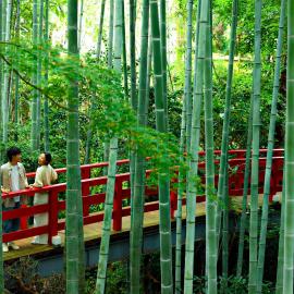 Oukai Villa Izumi, hotel en Izumi
