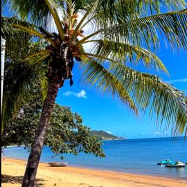 ISLAND TROPICS on Magnetic Island, hotel in Horseshoe Bay