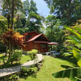 Tropical Forest Adventure Near Arenal Volcano, hotel v mestu Chachagua