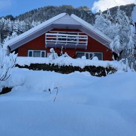Mistvale Cottage, hotell i Manāli