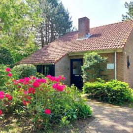 Groenendijk Verhuur Vakantiehuis de Bosmuis