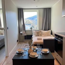 Luxury River View apt - Hotel Vibe - Heart of Voss