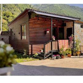 Mestia Alpine Cottage