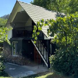 Sakalmakhe villa kvabiskhevi، فندق في بورجومي