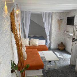 Estudio Aryas nest 1