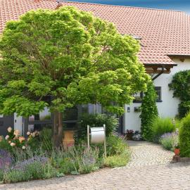 Gästehaus am weißen Kreuz