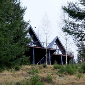 Forest Huts, hotel in Yablunytsya