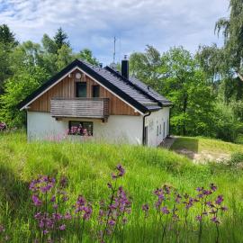 Chalet Pasečná Apartments, hotel in Přední Výtoň