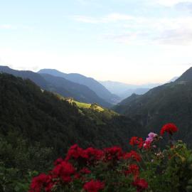 Bauernhaus Apart. - Farmhouse loft, Hotel in Avigna