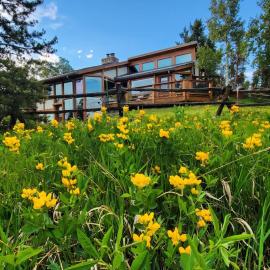 Fairplay Coyote Cabin