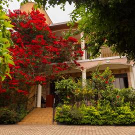 UmuTea Villa - Authentic East African local experience