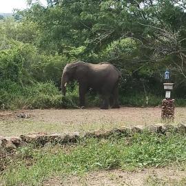 Pop Lamont Camp, hotell i Muchenje