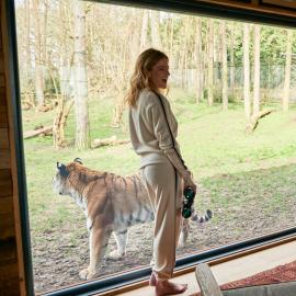 Tiger Lodge - At Port Lympne Hotel & Reserve, hotel v destinaci Lympne
