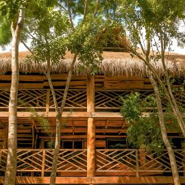 Treehouse Tulum H2Ojos, hotel v destinaci Tulum