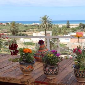 THE ARTIST Hostel Surf & Art