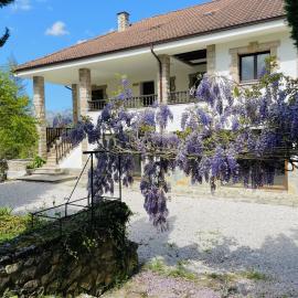 Casa Raíz y Cumbre