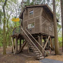 Boomhut Drouwenerzand