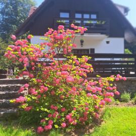 Pension Renata, hotel u gradu Šediviny