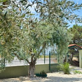 Άνεμος Home 2